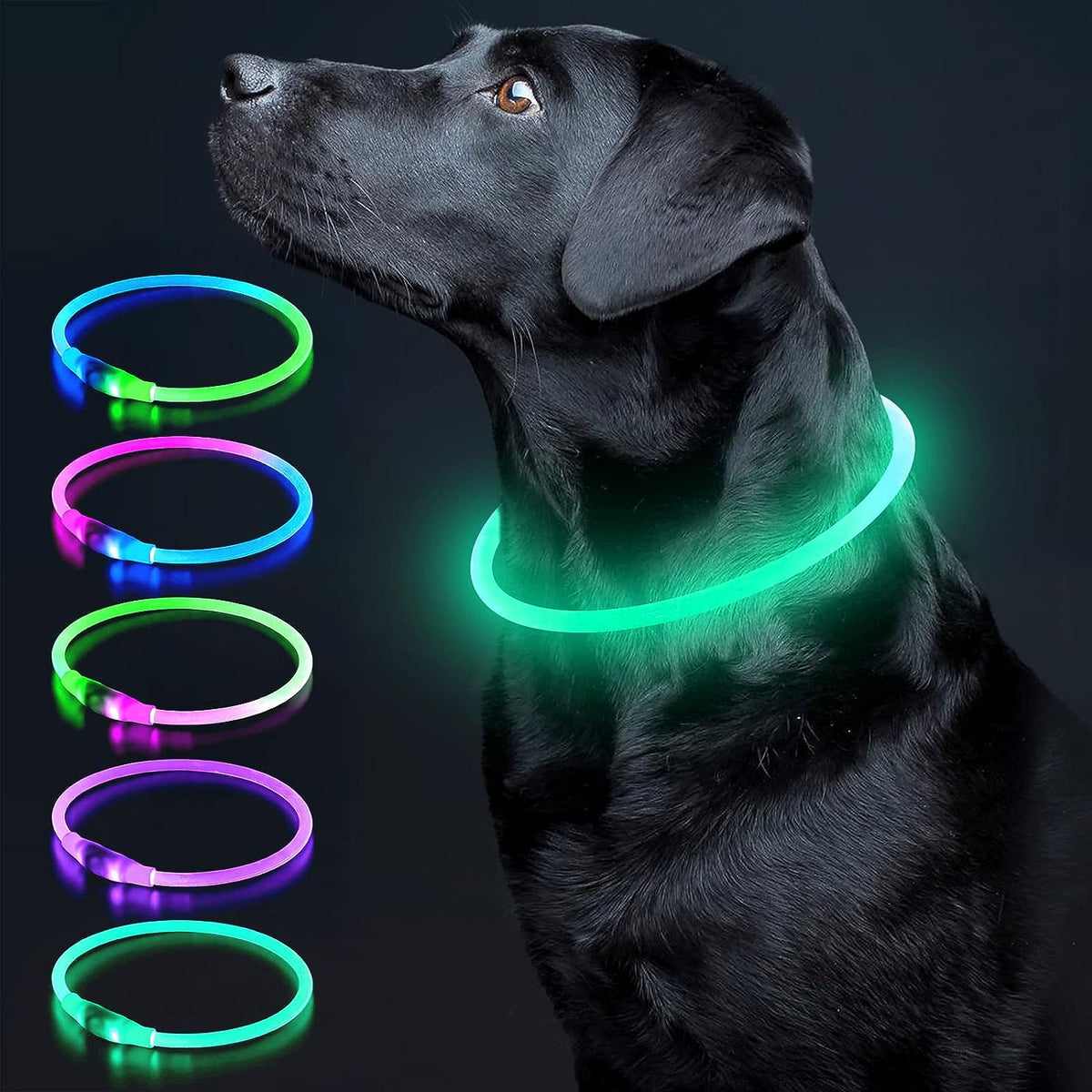 LED Dog Collar Light up Dog Collars 1 Count USB Rechargeable TPU... — image 1 — Pets Paradise Global Australia