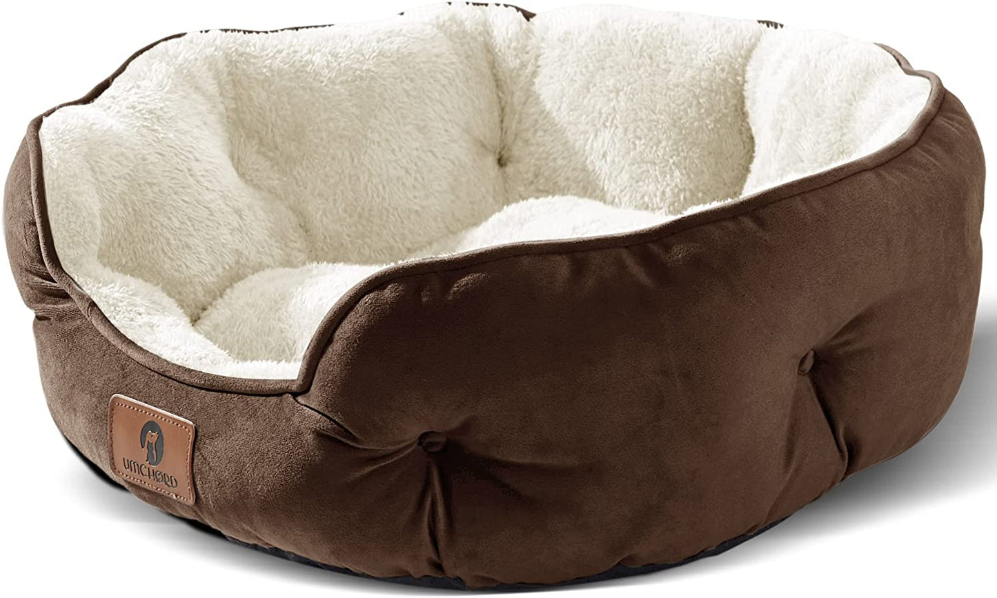 Dog Bed, Cat Beds for Indoor Cats, Pet Bed for Puppy and Kitty,... — image 1 — Pets Paradise Global Australia