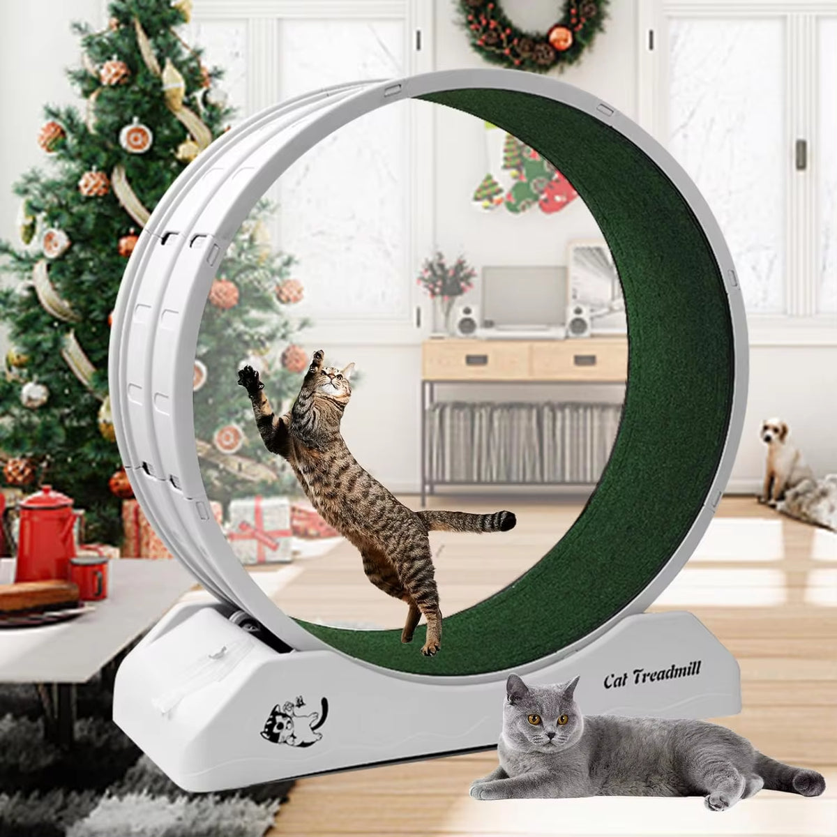 Cat Treadmill Wheel Exerciser for Kitty’S Longer Life Interesting... — image 1 — Pets Paradise Global Australia