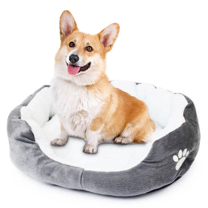 Active Traffic Lead Dual Handle Pets Paradise — image 2 — Pets Paradise Global Australia