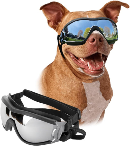 Summer Cat Collar Breakaway Pets Paradise — image 2 — Pets Paradise Global Australia