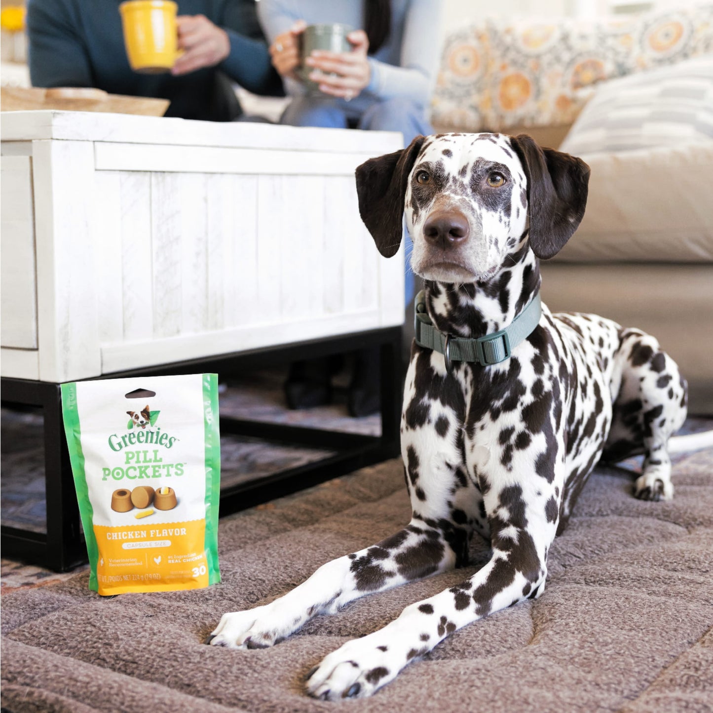 Pill Pockets Chicken Treats for Dogs, 15.8 Oz Pouch