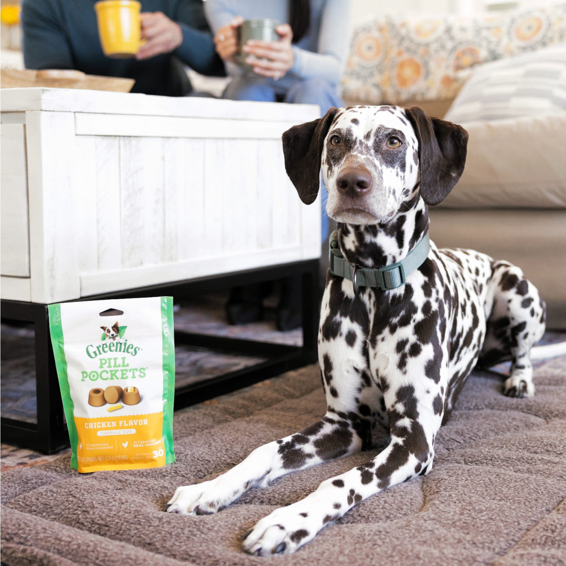 Pill Pockets Chicken Treats for Dogs, 15.8 Oz Pouch